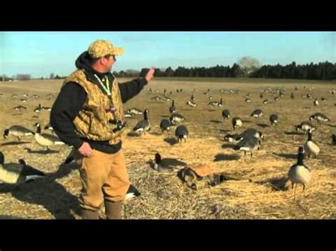 The Cultural Impact of California's Goose Migration: Folklore and Traditions